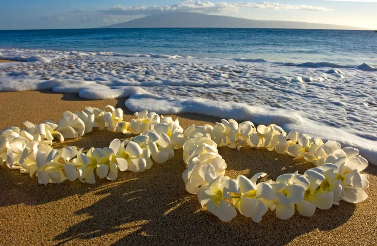 Mountain View Condo, Close To Beach With Free Parking Honolulu
